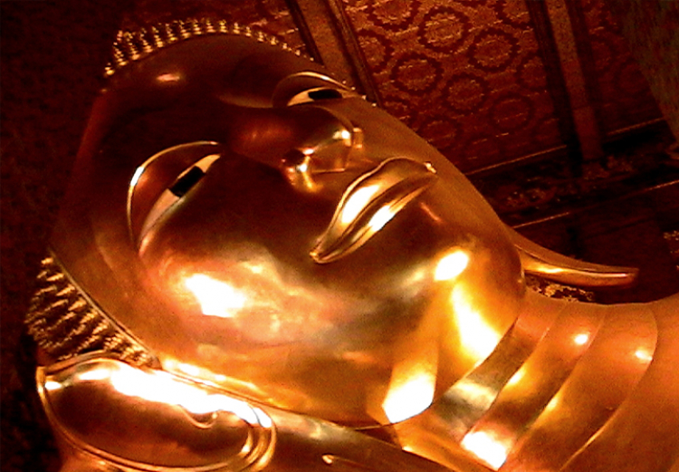 The Life, Peace and Love 